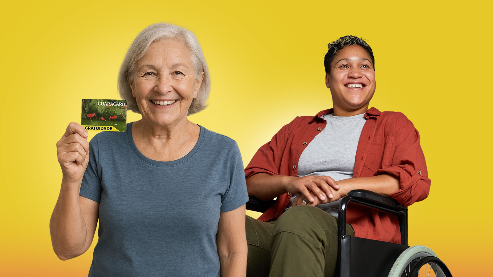Gratuidade para Idosos e Deficientes Físicos